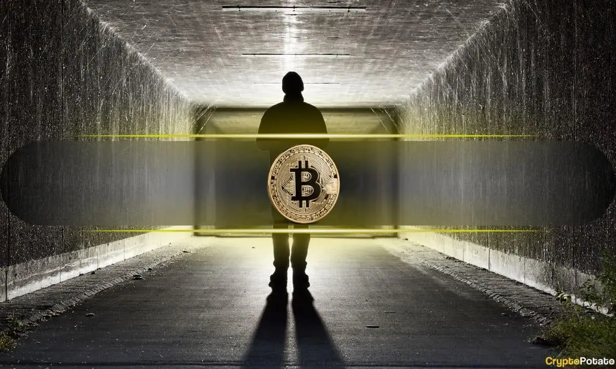 Emails Between Adam Back and Satoshi Nakamoto Shed Light on Bitcoin's Origins