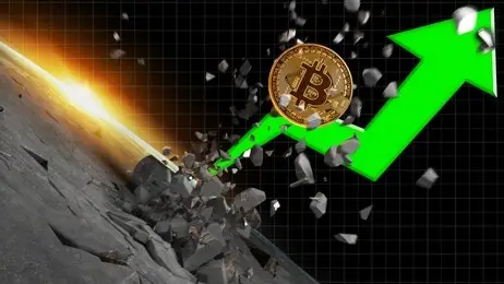 Bitcoin Price Surges to $53,360, Whales Signal Bullish Momentum