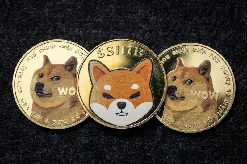 Shiba Inu and Dogecoin Surge Amid Crypto Market Optimism