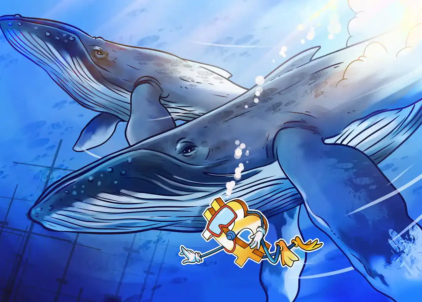 Bitcoin Whales and Sharks Accumulate as Sentiment Splits: Glassnode Data