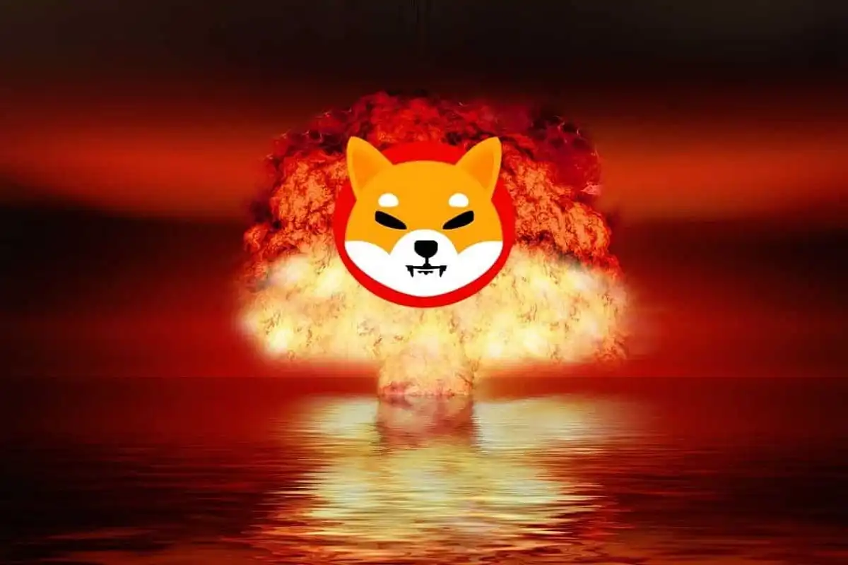 Shiba Inu Burn Rate Surges 1913.95% as Community Continues Developments