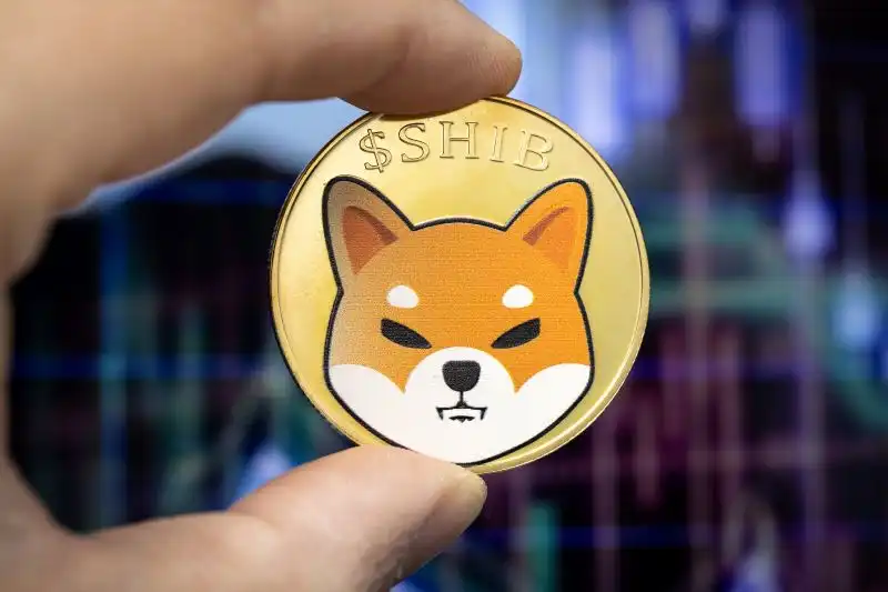 Shiba Inu (SHIB) Surges Over 20% in a Day, Gains 170% Weekly: Analysis & Predictions