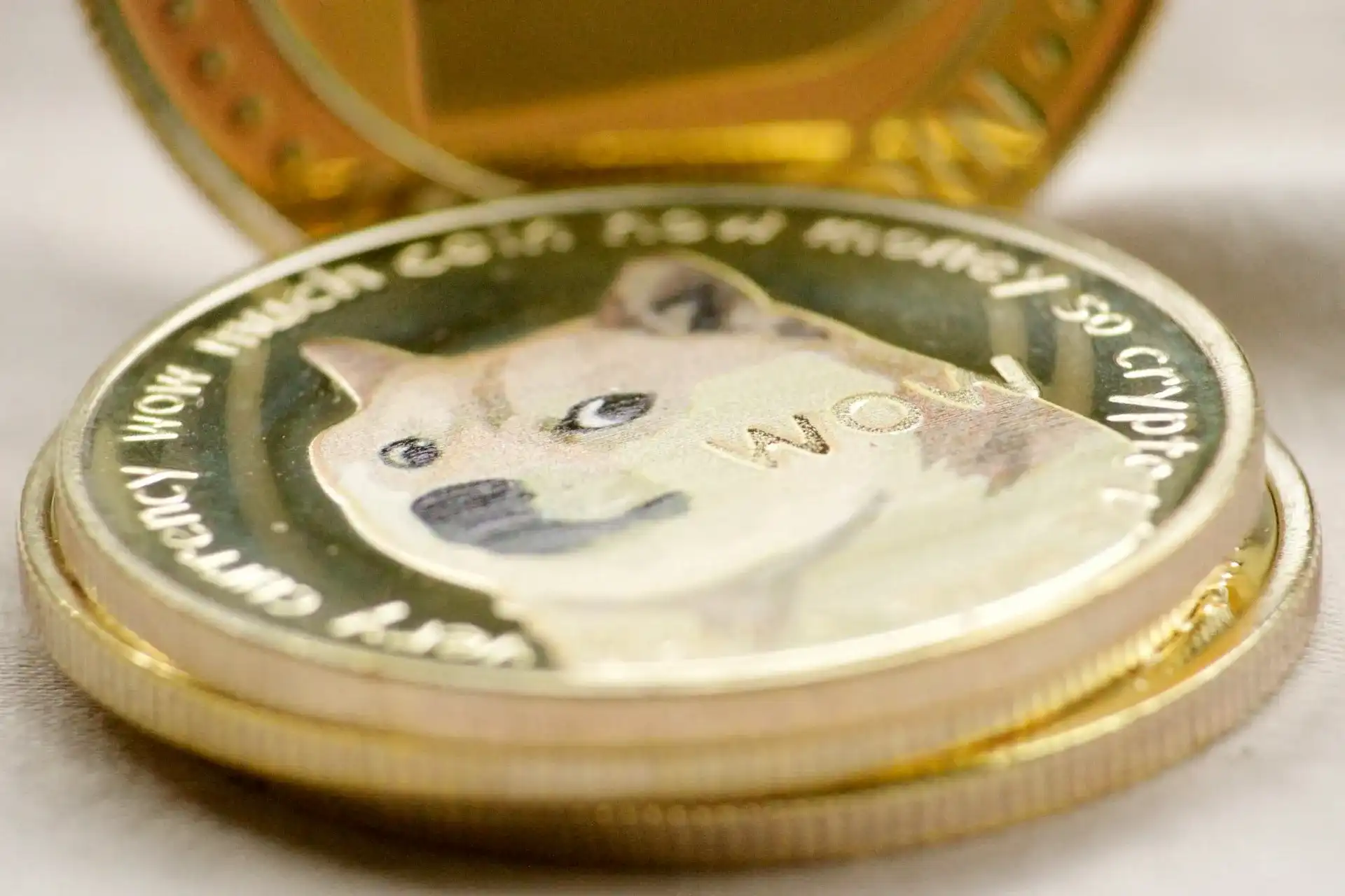 Dog-Themed Coins Soaring: WIF, FLOKI, and HUAHUA Lead the Rally